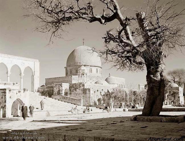 صور نادره لمسجد قبة الصخره ومدينة القدس  فبه الصخره قديما